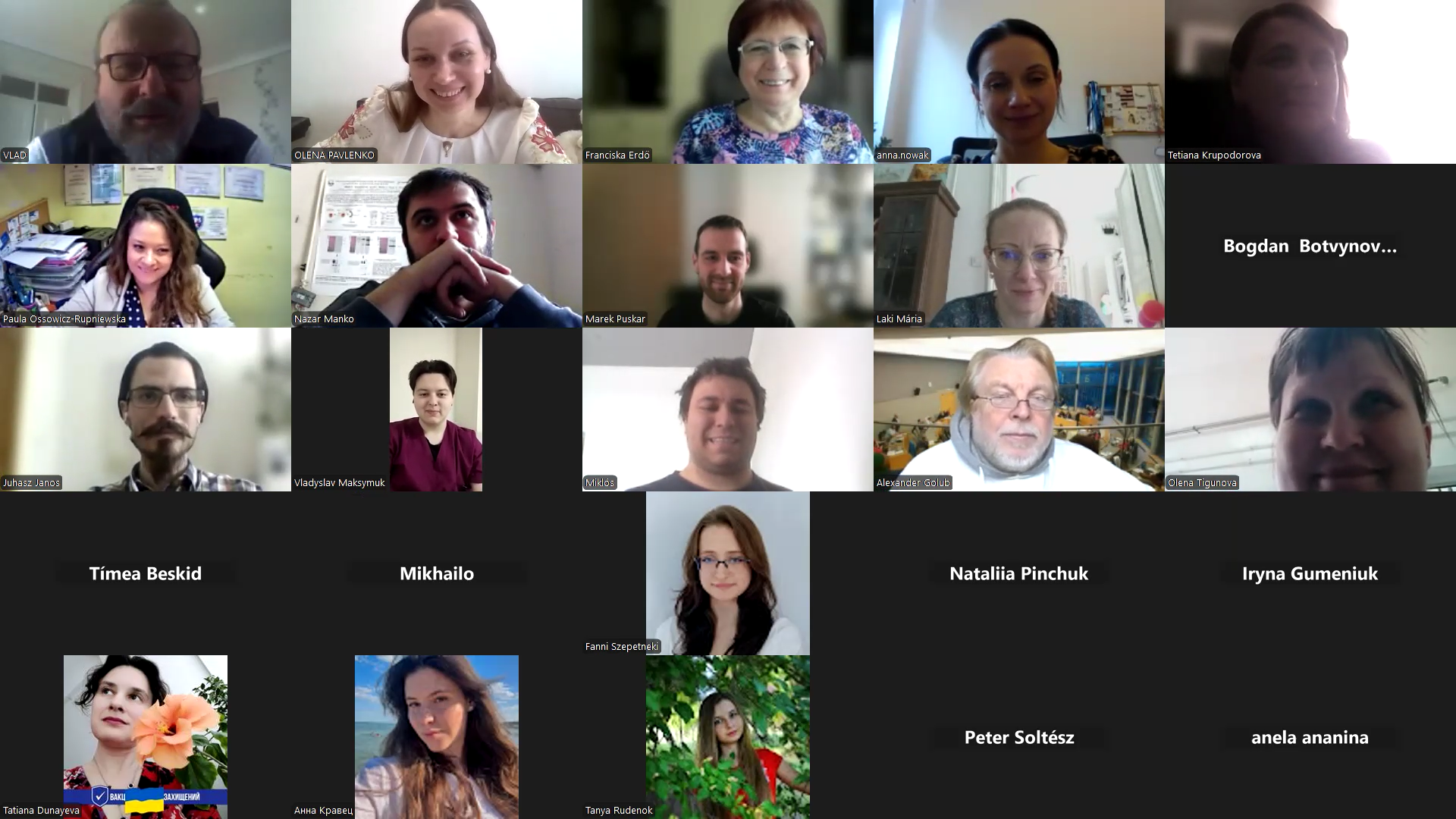 Visegrad Wound Healing Project